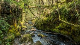 011 Venford Brook 03-1002100 PS Adj Upload.JPG