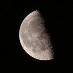 P1000314.jpeg P1000314.jpeg