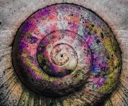 Spiral.jpg