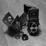 Yashi 10-11-21.JPG Yashi 10-11-21.JPG