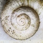 0Shell3v900.jpg 0Shell3v900.jpg