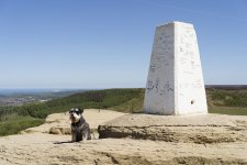 1-DSC00154.jpg 1-DSC00154.jpg