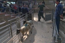 _7813482.jpg _7813482.jpg