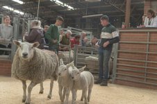 _7813569.jpg _7813569.jpg