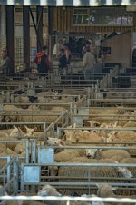 _7818382.jpg _7818382.jpg