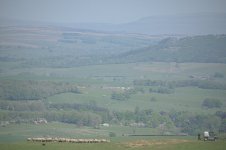 _7818401.jpg _7818401.jpg