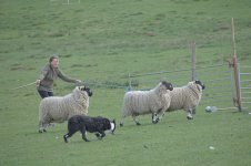 _7818470.jpg _7818470.jpg