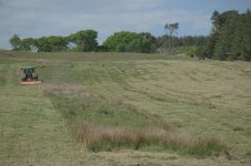 _7818611.jpg _7818611.jpg