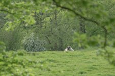 _7818632.jpg _7818632.jpg