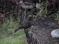 test EDIT_P5100004_DxOa.jpg