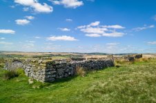 010 Laughter Tor Sheep Pound 03-1002551 PS Adj Upload.JPG 010 Laughter Tor Sheep Pound 03-1002551 PS Adj Upload.JPG