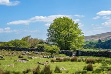 026 Dunnabridge Pound (Judges Chair) 01-1002796 PS Adj Upload.JPG 026 Dunnabridge Pound (Judges Chair) 01-1002796 PS Adj Upload.JPG