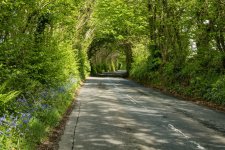 002 Nifty Fifty Hedgerows 01-1002125 Upload.JPG 002 Nifty Fifty Hedgerows 01-1002125 Upload.JPG