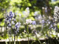 P1004776.jpg P1004776.jpg