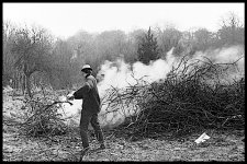 Feeding large bonfire at Kent youth hostel 1960s Pentacon FM 67-9020.jpg Feeding large bonfire at Kent youth hostel 1960s Pentacon FM 67-9020.jpg
