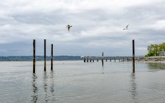 Week 20 - Light and Dark 1.JPG Week 20 - Light and Dark 1.JPG