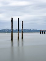 Week 20 - Light and Dark 6.JPG Week 20 - Light and Dark 6.JPG