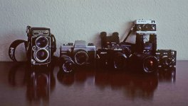 tp-NO-0589021-2.jpg tp-NO-0589021-2.jpg