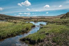 020 Henry's Ford 02-3193 PS Adj Upload.JPG 020 Henry's Ford 02-3193 PS Adj Upload.JPG