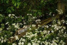 DSCF6668.jpeg DSCF6668.jpeg