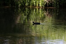 Week 20 - light and dark-1.jpg