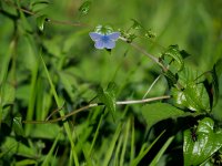 P1602733-copy-to-800.jpg P1602733-copy-to-800.jpg