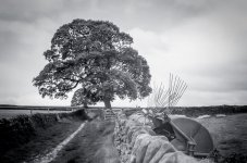 Yashica FX-D-000019070020.JPG