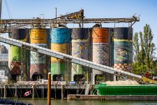 Week 21 - Figure 2.JPG Week 21 - Figure 2.JPG