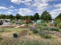 Allotment.jpg