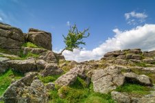 020 Sharp Tor (Lone Tree) 02-1002617 PS Adj Upload.JPG 020 Sharp Tor (Lone Tree) 02-1002617 PS Adj Upload.JPG