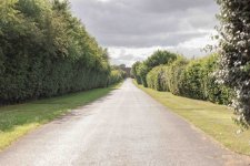 IMG_0874-2.jpg IMG_0874-2.jpg