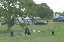 _7818705.jpg _7818705.jpg