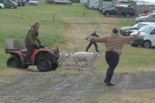 _7818706.jpg _7818706.jpg