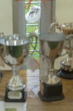 _7819010.jpg _7819010.jpg