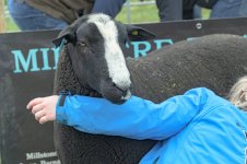 _7818770.jpg _7818770.jpg