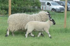 _7818749.jpg _7818749.jpg