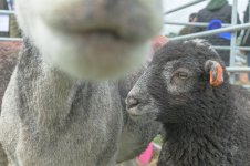 _7818942.jpg _7818942.jpg