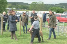 _7818931.jpg _7818931.jpg