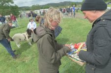 _7818934.jpg _7818934.jpg