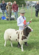 _7818940.jpg _7818940.jpg