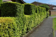 P1030062FC.jpg P1030062FC.jpg