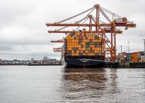 Week 22 - Vertical 4.JPG Week 22 - Vertical 4.JPG