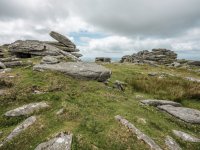 015 Gt Mis Tor 13-1442 PS Adj Upload.JPG 015 Gt Mis Tor 13-1442 PS Adj Upload.JPG