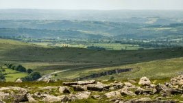 019 Gt Mis Tor (Curlew) 17-1002145 PS Adj Upload.JPG 019 Gt Mis Tor (Curlew) 17-1002145 PS Adj Upload.JPG