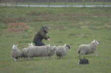 _7819307.jpg _7819307.jpg