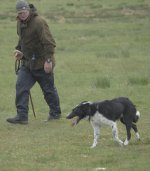 _7819315.jpg _7819315.jpg