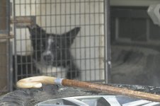 _7819331.jpg _7819331.jpg