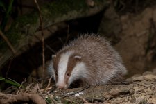 1000014318.jpg 1000014318.jpg