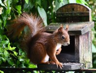 DSC_0249-d5002-c.jpg DSC_0249-d5002-c.jpg