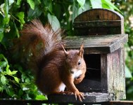 DSC_0251-d5002-c.jpg DSC_0251-d5002-c.jpg